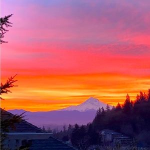 Live Show Notification NWT Items